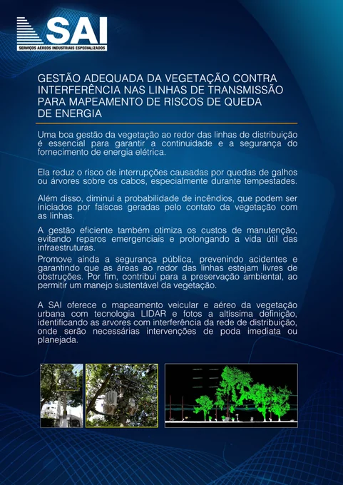 Gestão de vegetação junto às redes elétricas